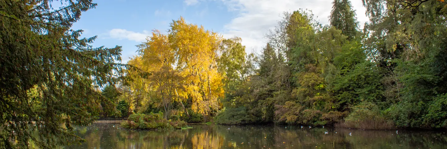 Picture overlooking the loch in Edinburgh with autumnal trees in the background.