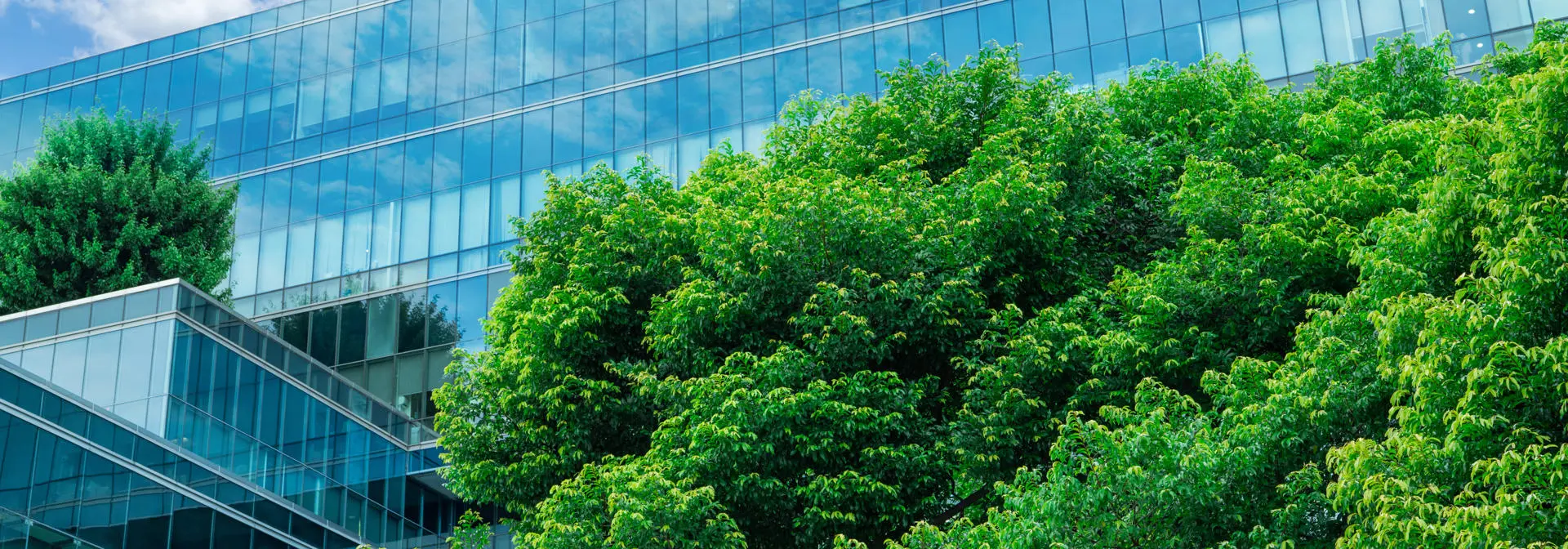 Net Zero