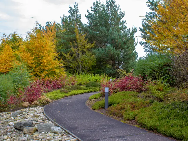 Paved walkway through gardens with autumnal coloured trees.